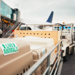pet shipping air cargo