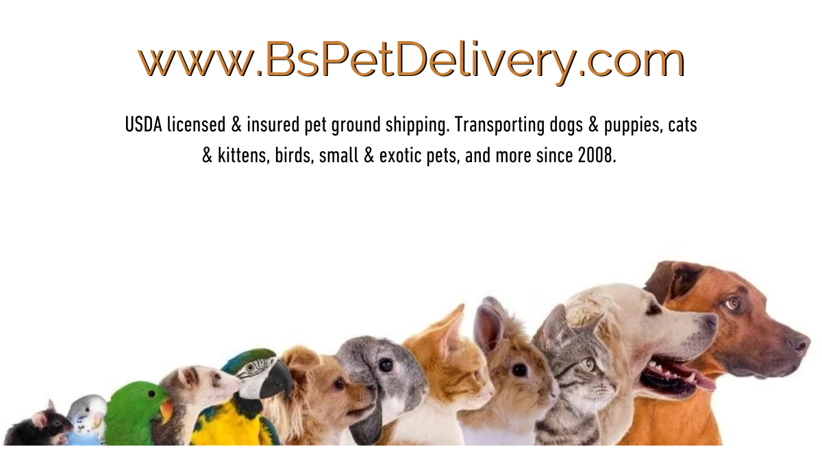 Sign Your Contract B's Pet Delivery