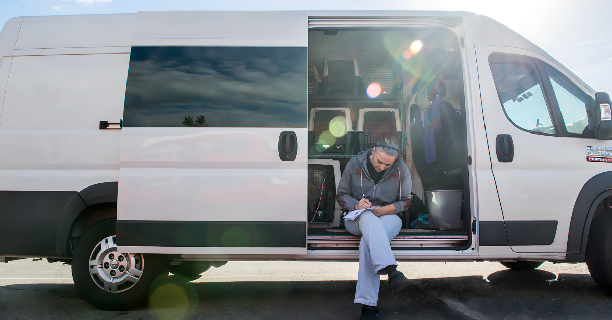 What are Some of the Reasons People Hire Pet Shippers and Pet Transporters?