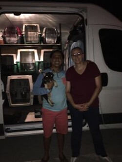 Coast to Coast Pet Delivery and Pet Travel