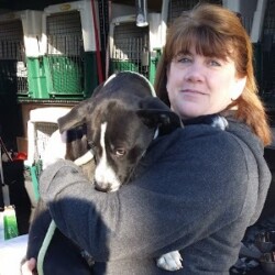 pet delivery for rescues