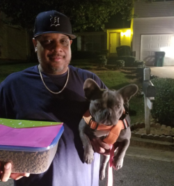dog shipping near me