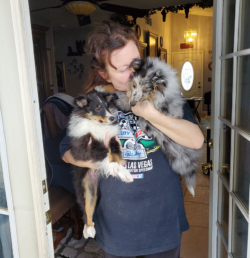how do i ship a puppy