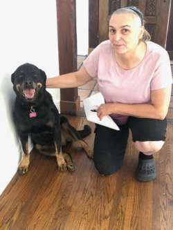 usda registered pet shipping
